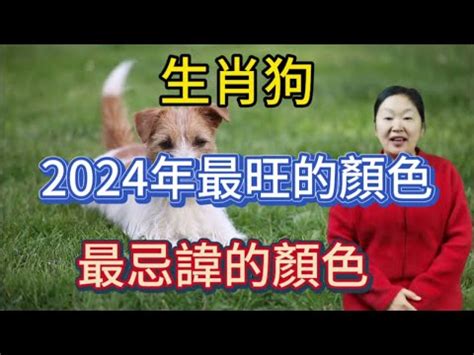 2023屬狗佩戴飾物|【屬狗2023生肖運勢】事業運吉凶參半，桃花運節節。